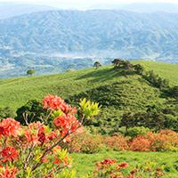 阿原山高原